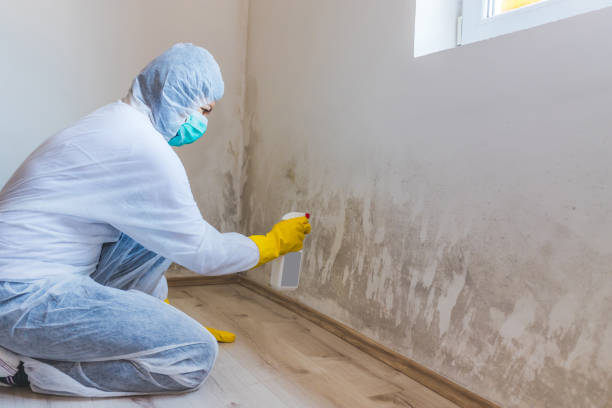 Commercial Mold Remediation assessment for commercial property in Marlton